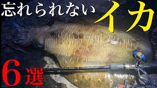 【エギング】今年釣り上げた衝撃のデカイカたち！