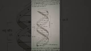 12th DNA ka structure  🤒🤒🧬🧬🤒🧬🤒❤️