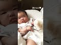 赤ちゃん＆チワワのほっこりお世話　baby u0026 chihuahua warm care　 shorts