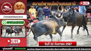 🔴ถ่ายทอดสดวัวชน สนามชนโคบ้านควนธานี วันที่ 22 กันยายน 2567   #ถ่ายทอดสดวัวชนวันนี้  #วัวชน #วัวชนสด