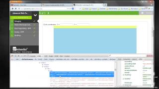 Web Page Debug - Firebug in Forefox