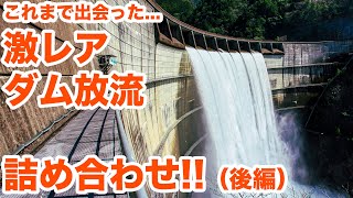 ダムの激レア放流詰め合わせ！（後編）　Assorted dam discharge part2【SiphonTV179】