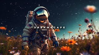 #016 Dreamscape (Liquid Drum & Bass Mix)
