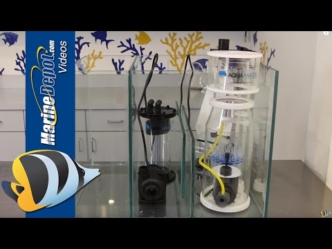 How to Build a Custom Sump for Your Reef Aquarium How to Build a Custom Sump for Your Reef Aquarium