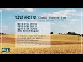 밀밭사이로 comin thro the ray scotch folk song 박영수 노래