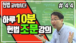 배성중의 하루10분 헌법조문강의_#44 헌법제44조