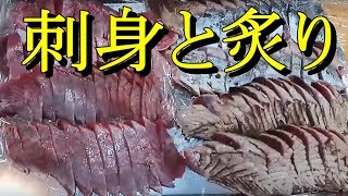 良いソウダガツオが入ったので刺身と炙りと作ってみた【魚さばき】【包丁研ぎ】