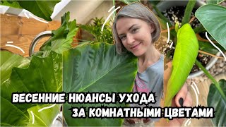 Весенние нюансы ухода за комнатными цветами | секреты весеннего ухода за растениями