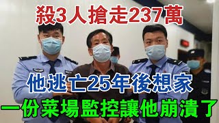 殺3人搶走237萬，他逃亡25年後想家，一份菜場監控讓他崩潰了 #大案紀實 #刑事案件 #大案要案