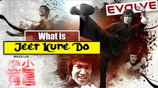 Why Bruce Lee Developed His Own Martial Art | What is Jeet Kune Do | JKD