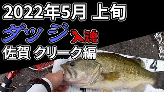 佐賀のクリーク 小雨ローライトな状況でダッジに入魂[釣行アーカイブ]