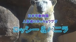 日本平動物園のロッシーとバニラを撮る！