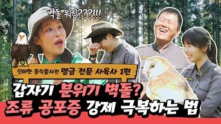 [신비한동식물사전] 나는 새들 vs 벽돌 얹고 뛰는 지명이, 맹금 전문 사육사 등극!? | 에버랜드 판타스틱 윙스