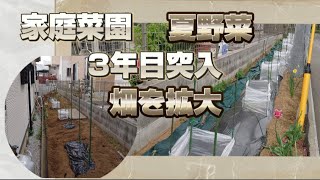 独身中年の家庭菜園【春夏野菜】畑を拡張しました。