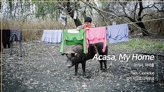 [EIDF2020 OFFICIAL] Acasa, My Home / 아카사, 마이 홈