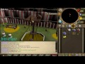 how to do agility inside the circus properly 9 9k exp