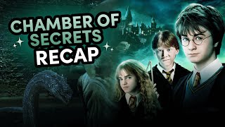 Harry Potter and the Chamber of Secrets in Under 25 Minutes