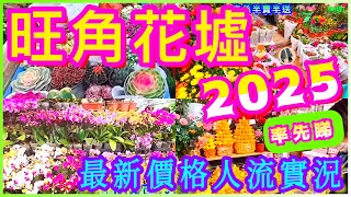 【旺角花墟2025】最後重建過年前夕🥹價格/人流/新花款🩵平靚正年花推介💛擔心花多眼亂者慎入🥳花迷必睇🪻🌷🌻Hong Kong Mong Kok Flower Market