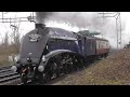 60007 ‘Sir Nigel Gresley’ on its first run back in BR blue near Crewe 05:04:23