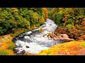 Breitenbush Hot springs River