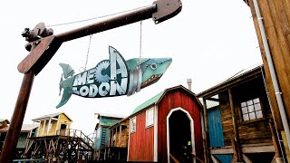 [Walibi Belgium] Mecalodon | Dock World (chantier du nouveau coaster 2025)