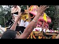 dangapal rathayatra