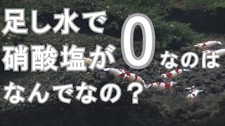 説明できなくてぐずりました【稚ビー生存率を上げよう#20】