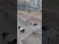 По улице моей который год... Москва Бирюлево