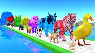 Paint Animals Duck,Tiger,Cow,Lion,Gorilla,TuskedElephant,Dinosaur Fountain Crossing Animal Game New