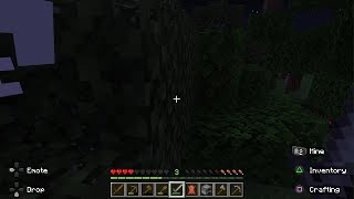 Minecraft_