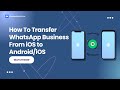 How To Transfer WhatsApp Business From iOS to Android/iOS