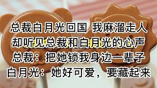 【知呼小说-争抢老婆】甜宠爽文，脑洞相当大，xp相当多