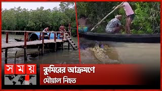 সুন্দরবনে খাল পাড়ি দিতে গিয়ে কুমিরের মুখে | Honey Hunting | Crocodile | Sundarbans | Somoy TV