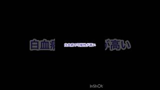 おもちゃん【白血病の可能性が高い】と言われました #正式な検査はまだ #保護猫 #子猫 #4ヶ月