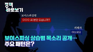 [정책 바로보기] 보이스피싱 상습범 목소리 공개... 주요 패턴은?