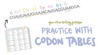 Unlock the Code! Practice Using a Codon Table