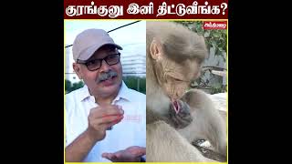 மனிதனை மிஞ்சும் குரங்கின் மனிதாபிமான தாய்மை குணம்( don't skip) please must watch