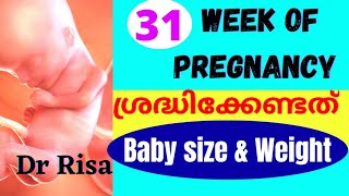 31 Week of Pregnncy | Pregnancy Week By Week Malayalam