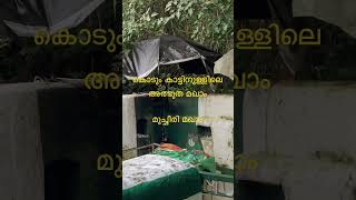 കൊടും കാട്ടിനുള്ളിലെ ഈ ജാറം അത്ഭുതം #shortsvideos #yathrawide