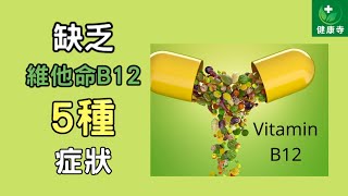 缺乏維他命B12的5種症狀 | 健康寺