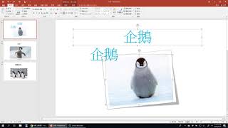 【PowerPoint教學】*圖片樣式、組成群組*