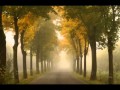 MAHER ZAIN-forgive me.wmv