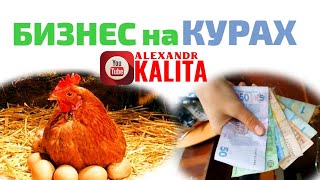 Бизнес на курах, что надо знать ?