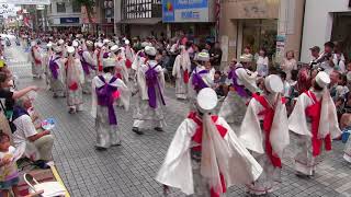 よさこい全国大会(2018/8/12)「天空しなと屋 しん」