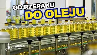 Jak powstaje OLEJ RZEPAKOWY?