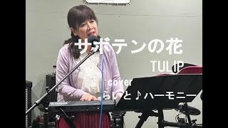 サボテンの花　TULIP　coverらいと♪ハーモニー