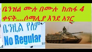 ቤንዝል ሙሉ በሙሉ  ከጠፋ 4 ቀናት መሆኑን ተከትሎ ከስራ ውጭ ሆነናል \