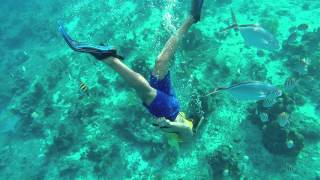 Snorkeling on a Caribbean Vacation to Cozumel