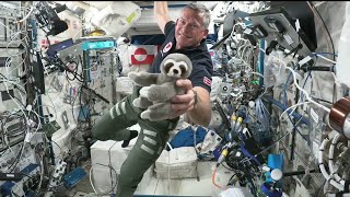 Expedition 69 Astronaut Andreas Mogensen Talks with Copenhagen Media, Public   Aug  31, 2023