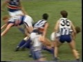 fnwb.com.au 1994 reserves grand final north melbourne v footscray q4